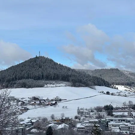 Panorama-suite Mit Kamin & Balkon, Ruhe, Weitblick & Im Schwarzwald شقة