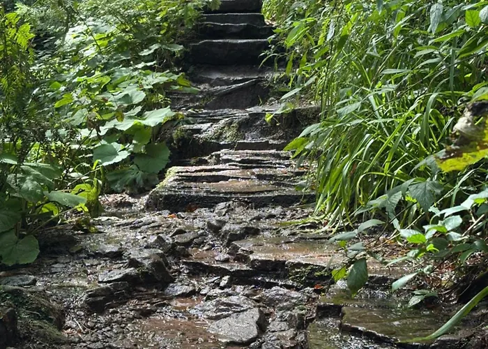 Panorama-suite Mit Kamin & Balkon, Ruhe, Weitblick & Im Schwarzwald شقة بيرسبرون