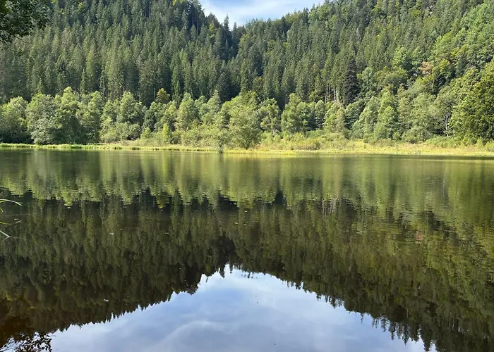 شقة Panorama-suite Mit Kamin & Balkon, Ruhe, Weitblick & Im Schwarzwald