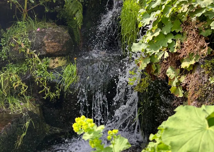 Panorama-Terrasse Im Schwarzwald - Entspannen & Geniessen Baiersbronn