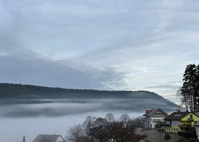 Panorama-Terrasse Im Schwarzwald - Entspannen & Geniessen Lejlighed Baiersbronn