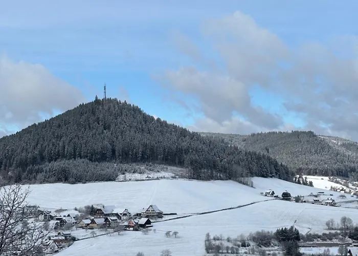 Panorama-suite Mit Kamin & Balkon, Ruhe, Weitblick & Im Schwarzwald شقة