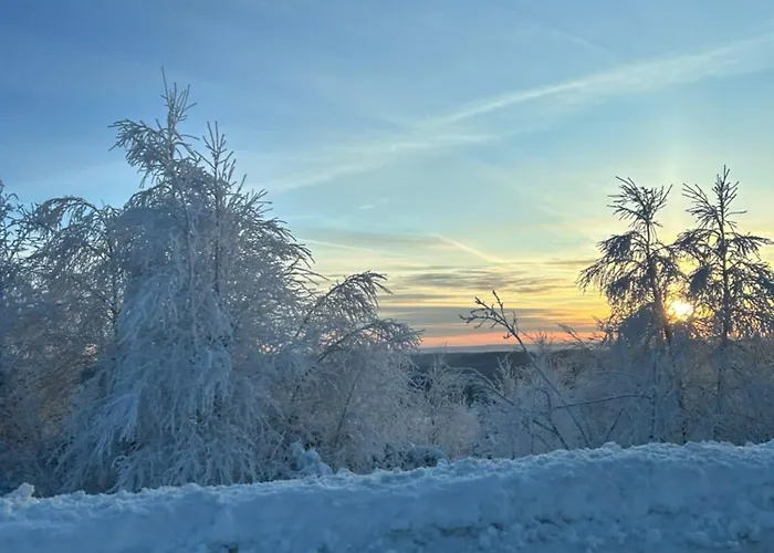 شقة Panorama-suite Mit Kamin & Balkon, Ruhe, Weitblick & Im Schwarzwald *