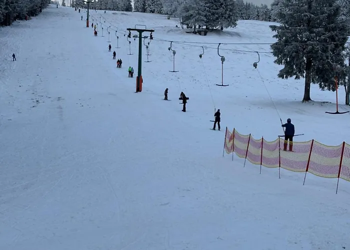 Апартаменты Panorama-suite Mit Kamin & Balkon, Ruhe, Weitblick & Im Schwarzwald *